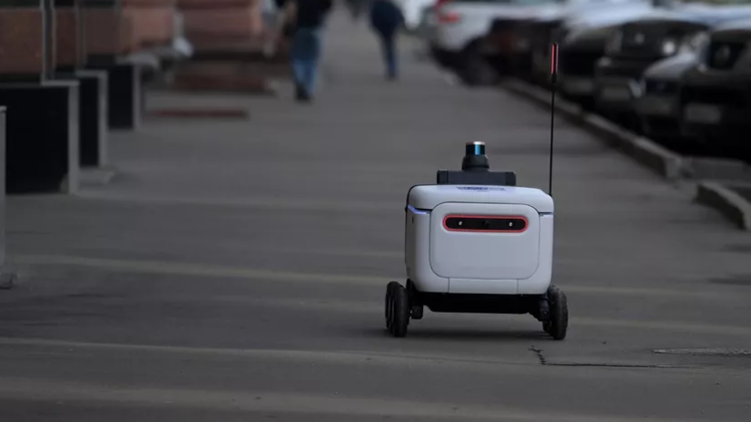 Суд в Москве отменил штраф ГИБДД за действия робота-доставщика - «ГИБДД»
